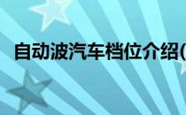 自动波汽车档位介绍(小汽车自动挡档位图)