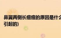鼻翼两侧长痘痘的原因是什么(鼻翼两侧长痘痘的原因是什么引起的)