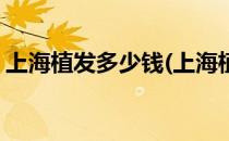 上海植发多少钱(上海植发多少钱发际线太高)