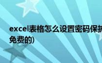 excel表格怎么设置密码保护(excel表格怎么设置密码保护免费的)