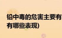 铅中毒的危害主要有哪些(铅中毒的危害主要有哪些表现)