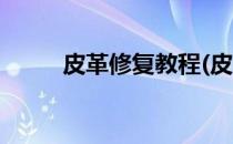 皮革修复教程(皮革修复教程视频)