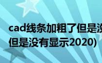 cad线条加粗了但是没有显示(cad线条加粗了但是没有显示2020)