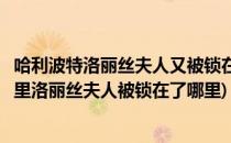 哈利波特洛丽丝夫人又被锁在里面了碎片位置攻略(哈利波特里洛丽丝夫人被锁在了哪里)