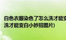 白色衣服染色了怎么洗才能变白小妙招(白色衣服染色了怎么洗才能变白小妙招图片)