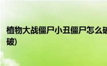 植物大战僵尸小丑僵尸怎么破(植物大战僵尸的小丑僵尸怎么破)