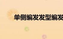单侧编发发型编发教程(侧编发造型)