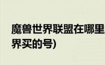 魔兽世界联盟在哪里给小号买传家宝(魔兽世界买的号)