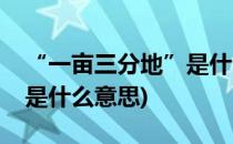 “一亩三分地”是什么意思(守好一亩三分地是什么意思)