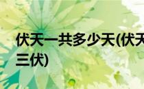 伏天一共多少天(伏天一共多少天呀一伏二伏三伏)