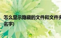 怎么显示隐藏的文件和文件夹(怎么显示隐藏的文件和文件夹名字)