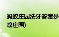 蚂蚁庄园洗牙答案是什么(洗牙会把牙齿的蚂蚁庄园)