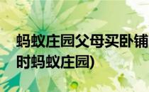 蚂蚁庄园父母买卧铺车票答案(父母买卧铺票时蚂蚁庄园)
