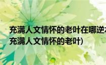 充满人文情怀的老叶在哪逆水寒此间的老叶 三(逆水寒寻找充满人文情怀的老叶)