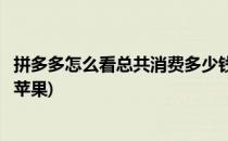 拼多多怎么看总共消费多少钱(拼多多怎么看总共消费多少钱苹果)