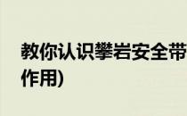 教你认识攀岩安全带(教你认识攀岩安全带的作用)