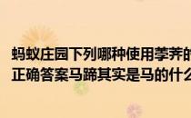 蚂蚁庄园下列哪种使用荸荠的方式答案(今日蚂蚁庄园小课堂正确答案马蹄其实是马的什么)