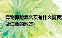 宠物保险怎么买有什么需要注意(宠物保险怎么买,有什么需要注意的地方)