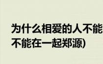 为什么相爱的人不能在一起(为什么相爱的人不能在一起郑源)