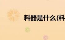 料器是什么(料器是什么意思)