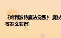 《哈利波特魔法觉醒》 魔杖获取攻略(哈利波特魔法觉醒魔杖怎么获得)