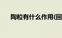 陶粒有什么作用(回填陶粒有什么作用)