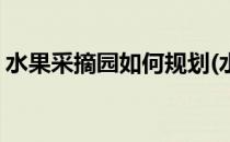 水果采摘园如何规划(水果采摘园规划设计图)