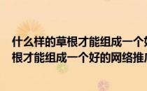 什么样的草根才能组成一个好的网络推广团队?(什么样的草根才能组成一个好的网络推广团队名称)