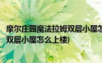 摩尔庄园魔法拉姆双层小屋怎么上楼(摩尔庄园手游魔法拉姆双层小屋怎么上楼)