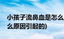 小孩子流鼻血是怎么回事(小孩子流鼻血是什么原因引起的)