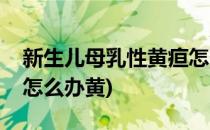 新生儿母乳性黄疸怎么办(新生儿母乳性黄疸怎么办黄)