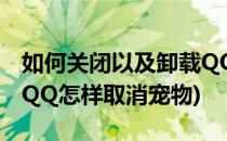 如何关闭以及卸载QQ宠物怎么删除QQ宠物(QQ怎样取消宠物)