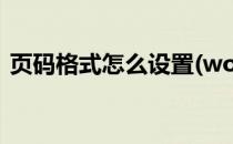 页码格式怎么设置(word页码格式怎么设置)