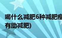 喝什么减肥6种减肥瘦身饮料(减肥喝什么饮料有助减肥)