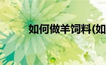 如何做羊饲料(如何做羊饲料配方)