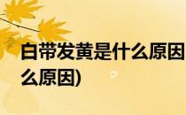 白带发黄是什么原因(分泌物发黄无异味是什么原因)