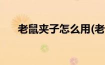 老鼠夹子怎么用(老鼠夹子怎么用图解)
