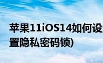 苹果11iOS14如何设置隐私锁(苹果11怎么设置隐私密码锁)