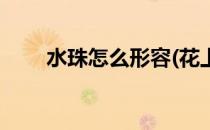 水珠怎么形容(花上的水珠怎么形容)