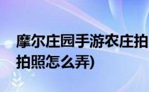 摩尔庄园手游农庄拍照怎么做(摩尔庄园农庄拍照怎么弄)