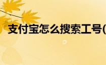 支付宝怎么搜索工号(支付宝如何搜索工号)