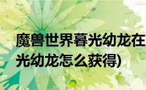 魔兽世界暮光幼龙在哪刷怎么刷(魔兽世界暮光幼龙怎么获得)