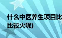 什么中医养生项目比较火(什么中医养生项目比较火呢)