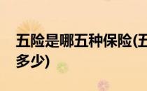 五险是哪五种保险(五险是哪五种保险个人交多少)