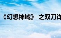 《幻想神域》 之双刀详解(幻想神域魔枪双武)
