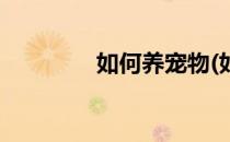 如何养宠物(如何养宠物猫)
