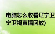 电脑怎么收看辽宁卫视直播(电脑怎么收看辽宁卫视直播回放)