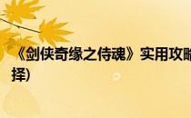 《剑侠奇缘之侍魂》实用攻略之装备强化篇(侍魂鬼剑首饰选择)