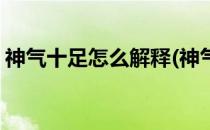 神气十足怎么解释(神气十足怎么解释这个词)