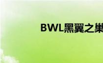 BWL黑翼之巢老一怎么单刷